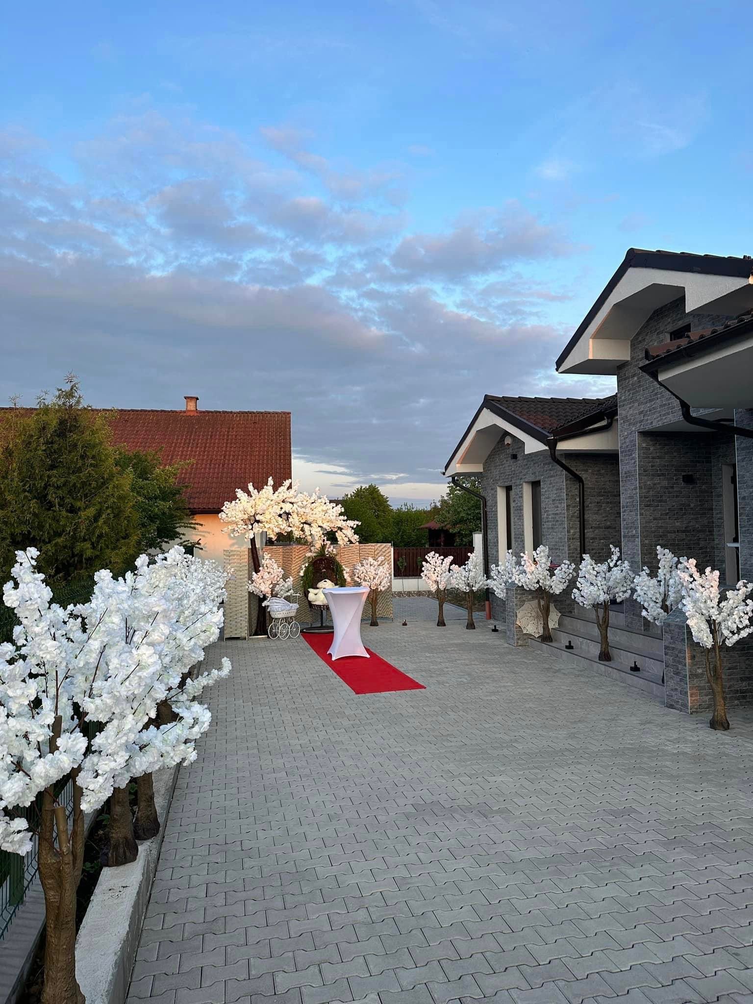 Moment Aranjamente Gradina si Curte