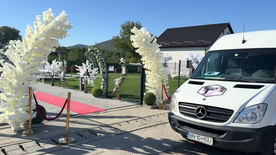 Aranjamente EXTERIOARE